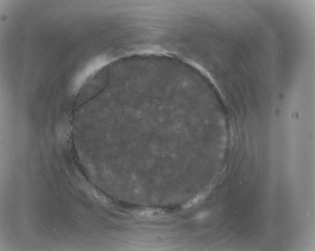 X0000081491359200701262043