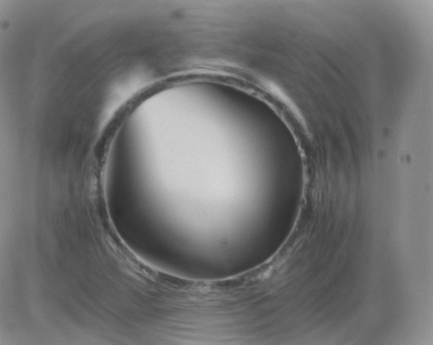 X0000081491360200701262043