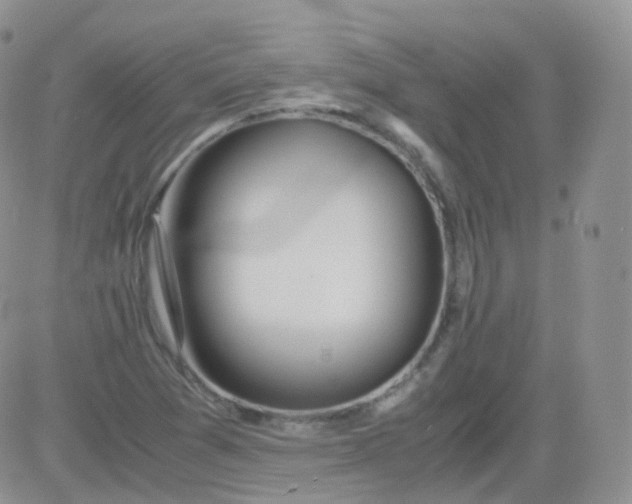 X0000081491361200701262043