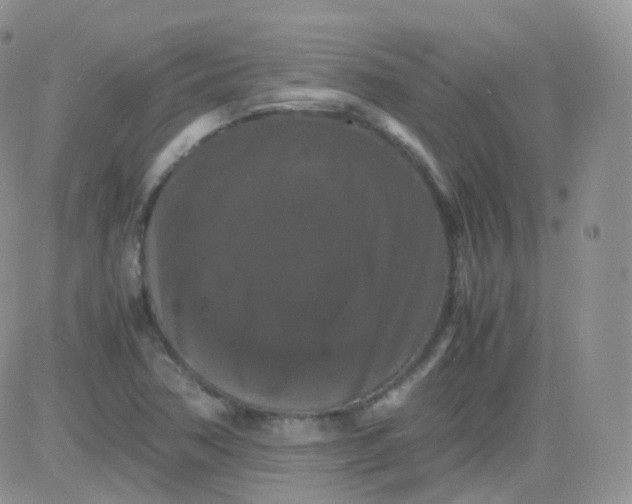 X0000081491362200701262043