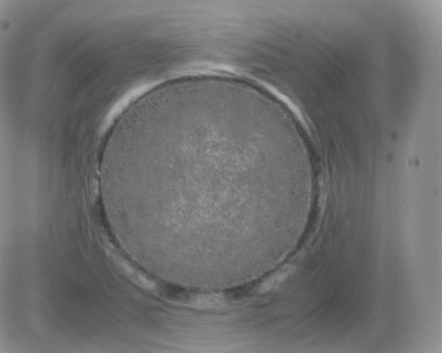 X0000081491363200701262043