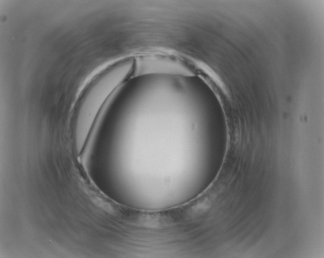 X0000081491364200701262043