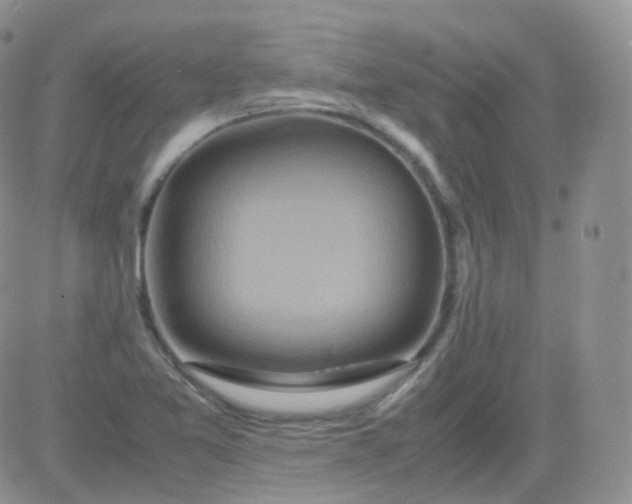 X0000081491365200701262043