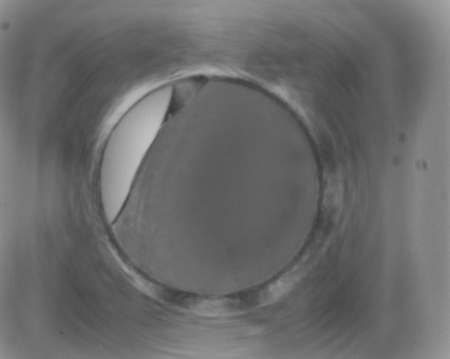 X0000081491367200701262043