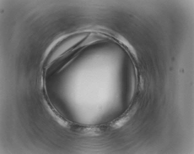 X0000081491368200701262043