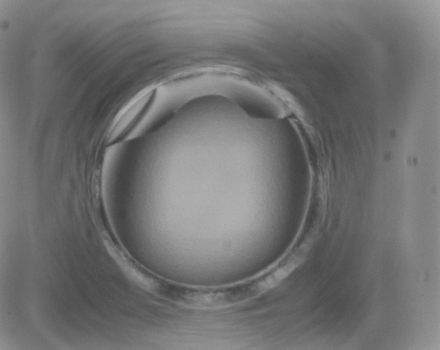 X0000081491369200701262043