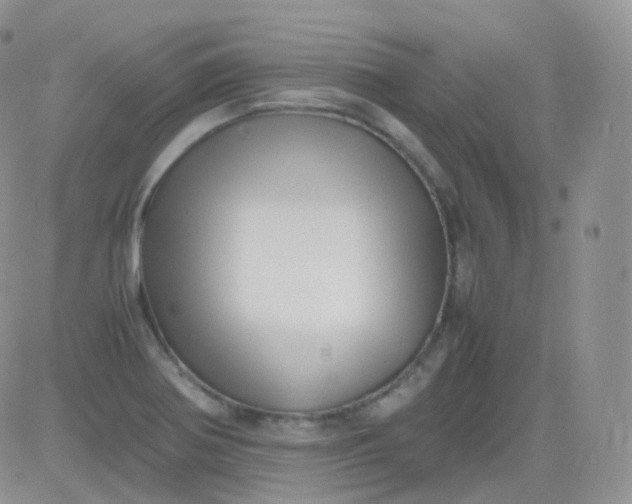 X0000081491370200701262043