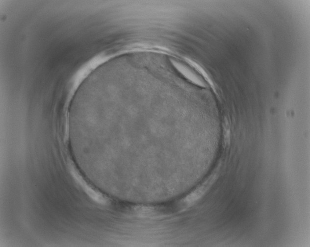 X0000081491371200701262043