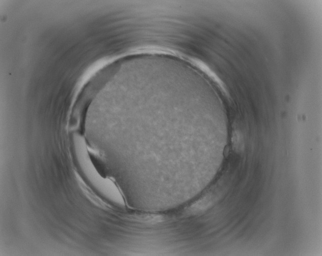 X0000081491372200701262043