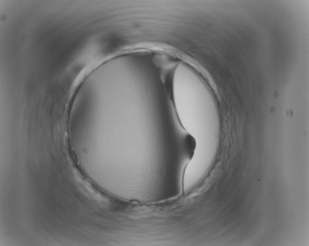 X0000081491373200701262043