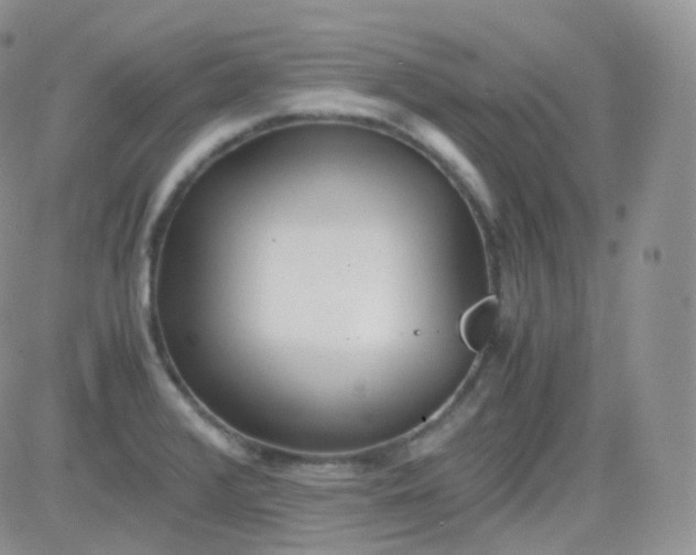 X0000081491376200701262043