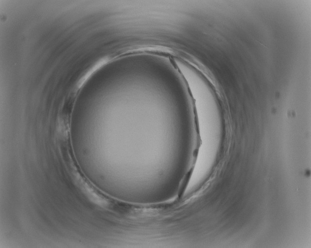 X0000081491377200701262043