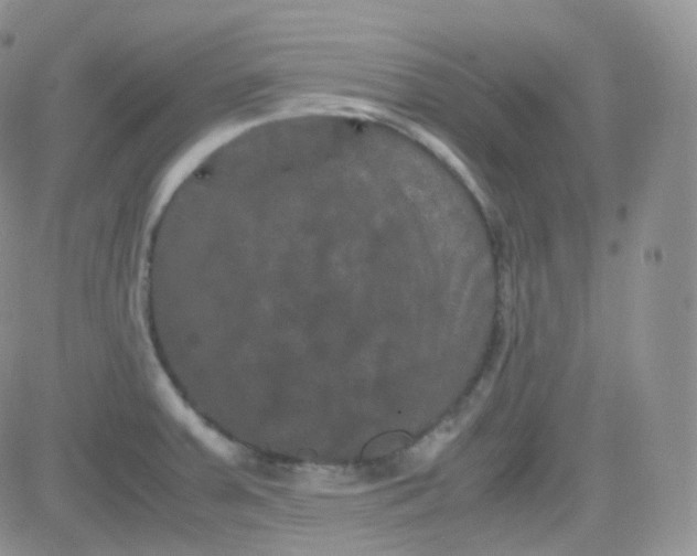 X0000081491379200701262043