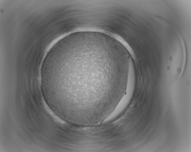 X0000081491380200701262043