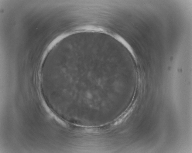 X0000081491381200701262043