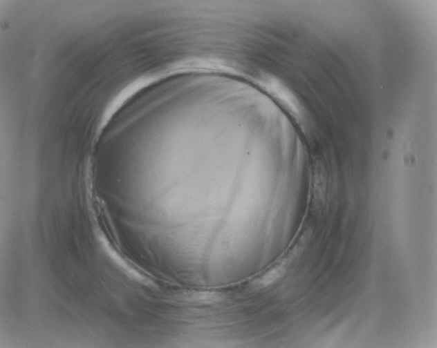 X0000081491382200701262043