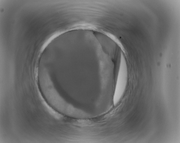 X0000081491383200701262043