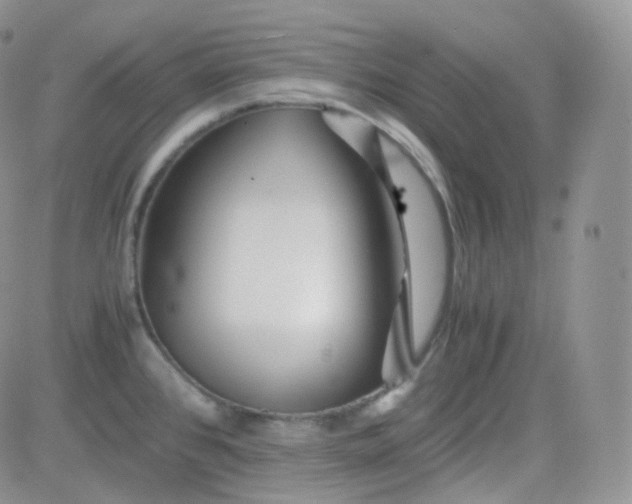 X0000081491384200701262043