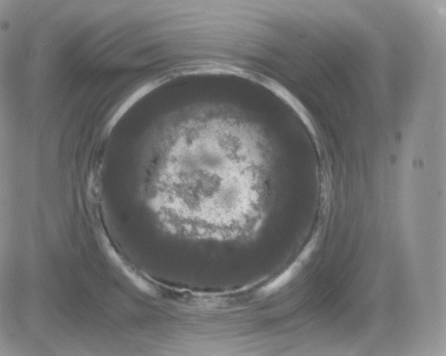 X0000081491385200701262043