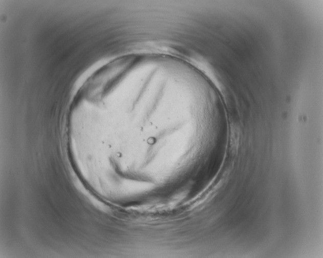 X0000081491387200701262043