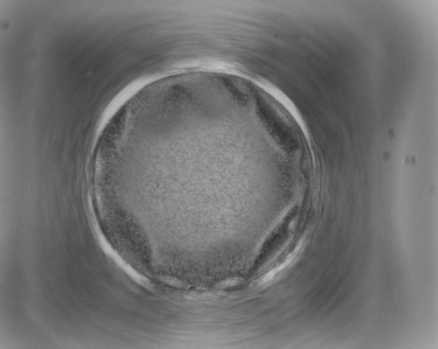 X0000081491389200701262043