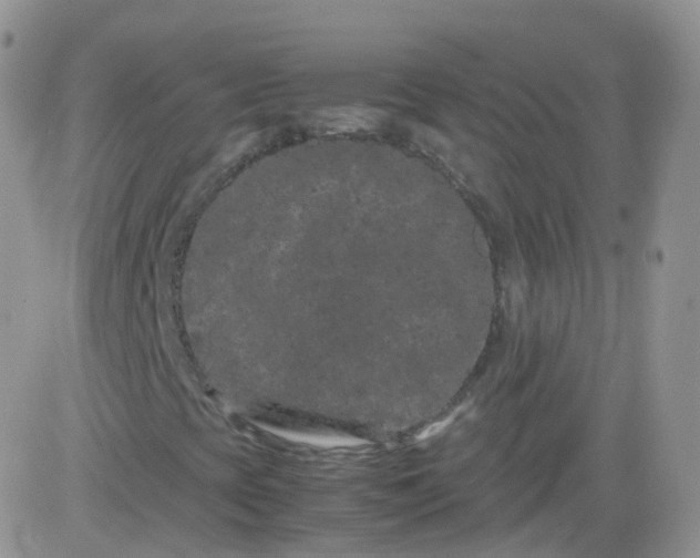 X0000081491393200701262042