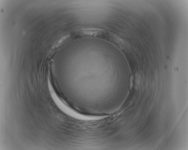 X0000081491394200701262042