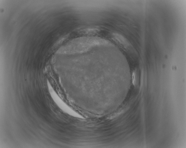 X0000081491395200701262042