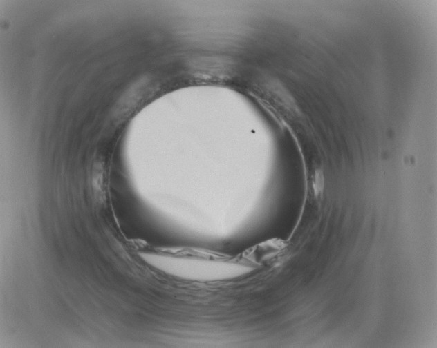 X0000081491396200701262042