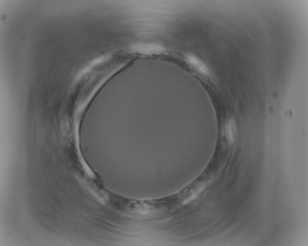 X0000081491398200701262042