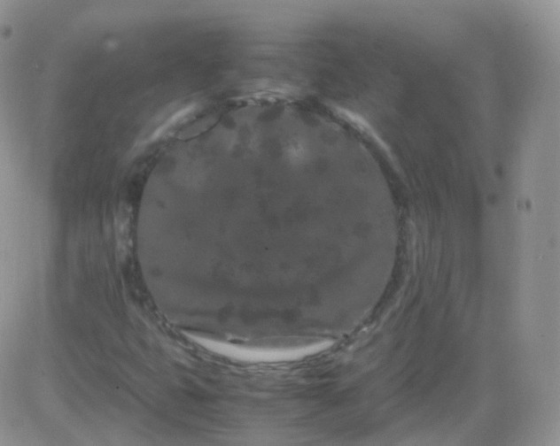 X0000081491399200701262042