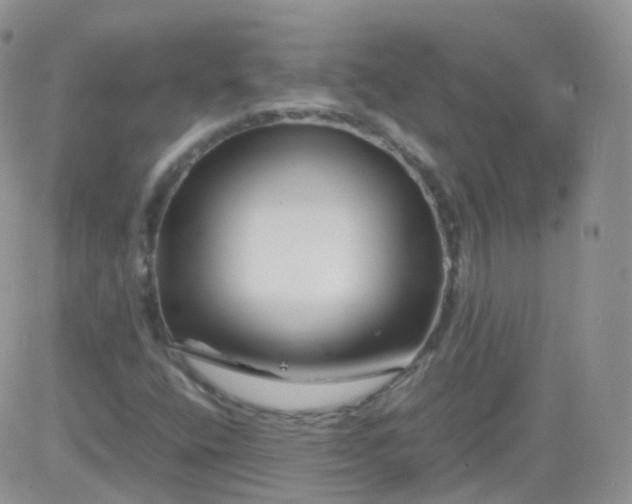 X0000081491400200701262042