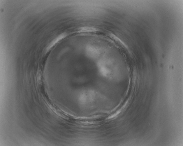 X0000081491401200701262042