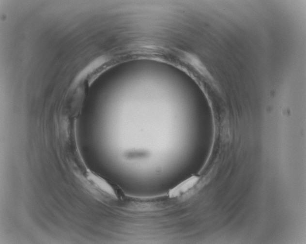 X0000081491402200701262042