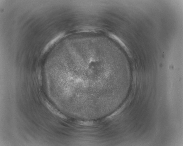 X0000081491403200701262042