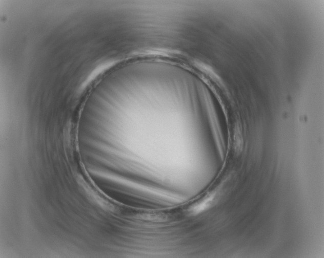 X0000081491404200701262042