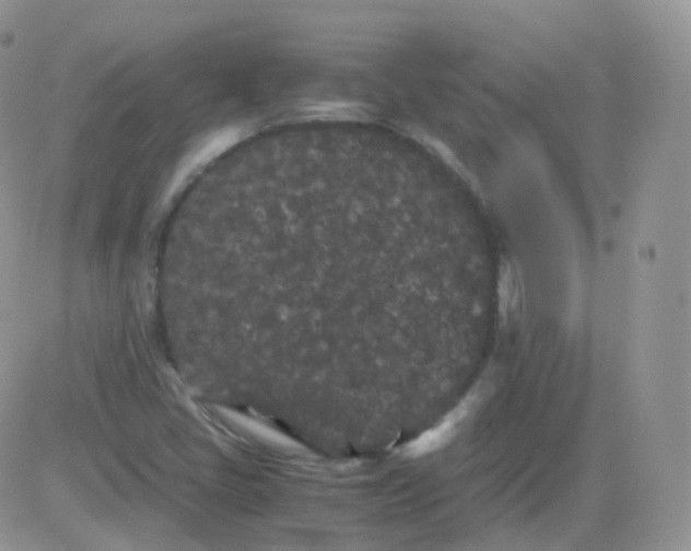 X0000081491405200701262042