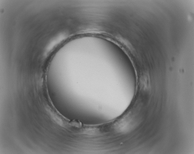 X0000081491406200701262042