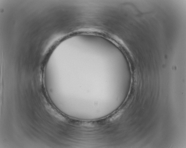 X0000081491408200701262042