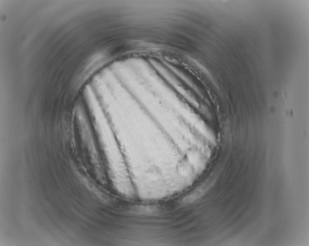 X0000081491409200701262042