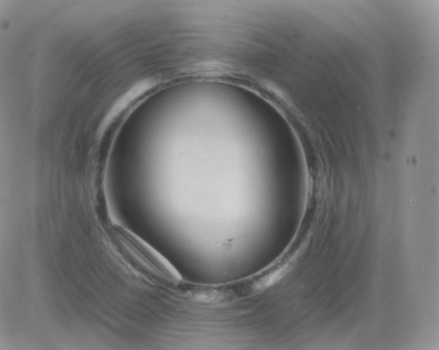 X0000081491410200701262042