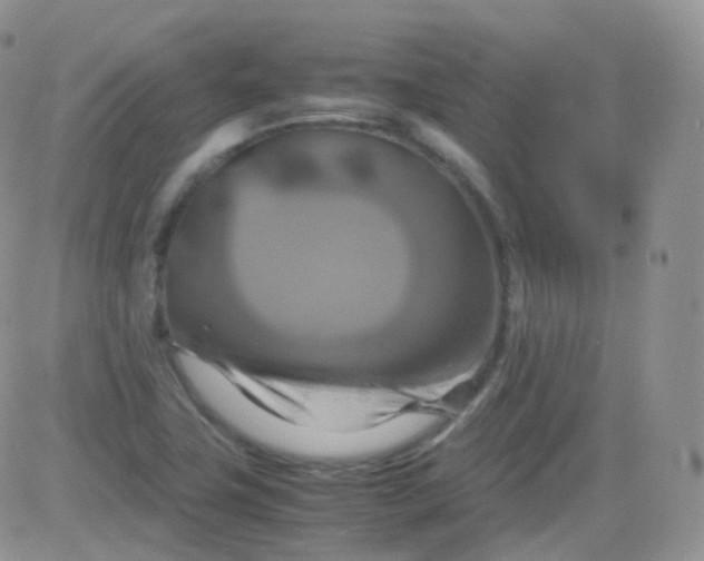 X0000081491411200701262042