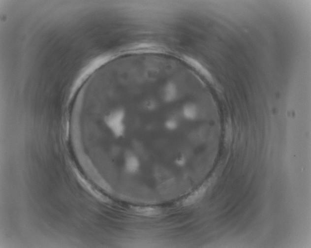 X0000081491413200701262042