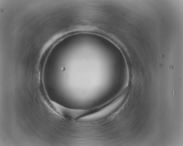 X0000081491414200701262042