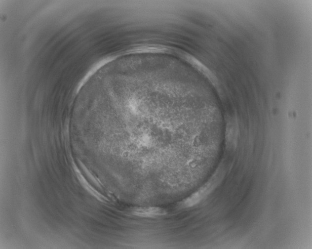 X0000081491417200701262042