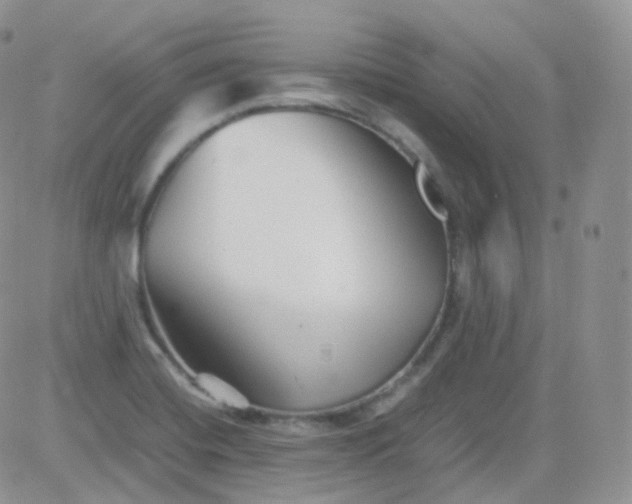 X0000081491420200701262042