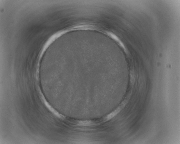 X0000081491421200701262042