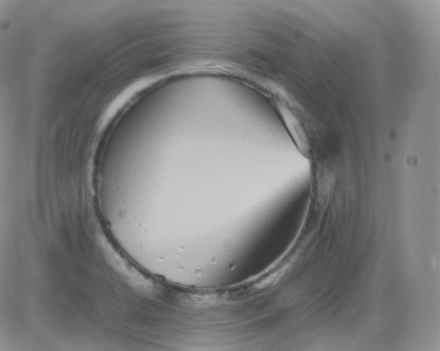 X0000081491422200701262042