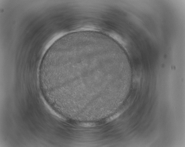 X0000081491423200701262042