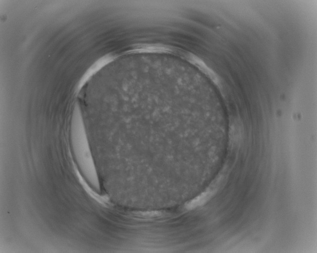 X0000081491425200701262042